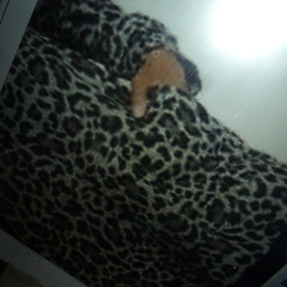 Super soft Ellen Tracy NWOT Leopard Print V Neck Sweater M - Picture 5 of 10